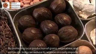 Impact of Sustainable Agriculture Practices on Food Security in India☺️