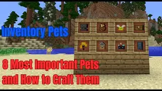 The 8 most important inventory pets, and how to craft them: Inventory Pets