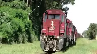 TREM  TRENS NAS ESTA&Ccedil;&Atilde;O PARAN&Aacute; STATION  FARINA
