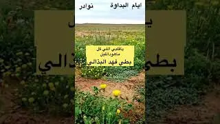 الفنان بطي فهد البذالي //ياقلبي اللي كل ماهود الليل
