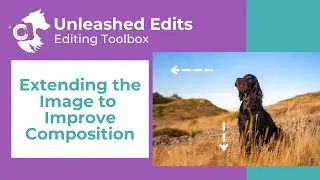 Dog Photography Editing Toolbox: Extending the Image Canvas to Improve Composition