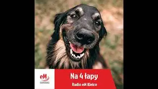 Na 4 łapy - Mądre dokarmianie ptaków