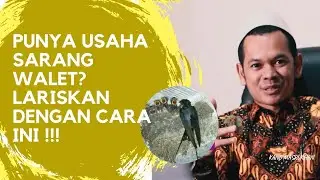 Penglaris Dagangan untuk Usaha Sarang Walet