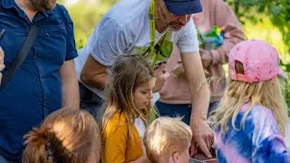 A Day of Discovery and Conservation at Coton Orchard’s BioBlitz