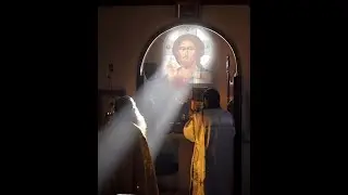 Грустная история. Автор о.Виктор Сокол