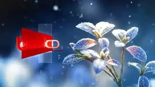 TV Klan - Digital Branding / Jingle 9