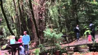 Jasper and the Prodigal Suns Beautiful Day Video