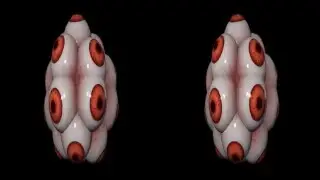Spinning Eyeballs