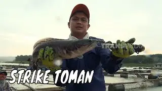 Battle Toman di Waduk CIrata | MANCING MANIA STRIKE BACK (22/12/24) Part 1