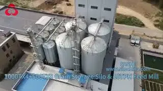 China Grain Storage Silo and 10TPH Animal Feed Mill