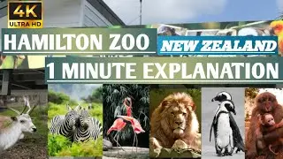 Hamilton Zoo | New Zealand || 1Minute Explanation
