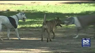 Extremely dangerous for pets to be outside during heat wave