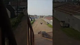 #stunts #arrmabashing #arrmabashing #reefsrc