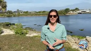 All About the Matanzas Riverkeeper