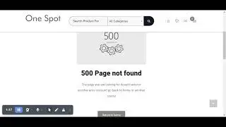 Error on E-commerce Website
