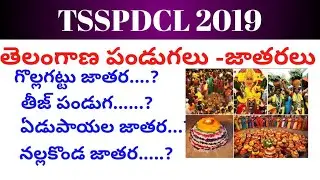 TSSPDCL 2019 || TELANGANA FESTIVALS || తెలంగాణ పండుగలు -జాతరలు
