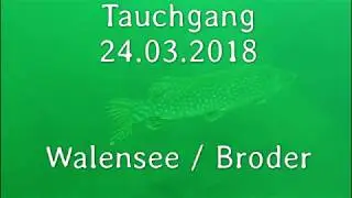 Tauchgang Walensee 24. M&auml;rz 2018