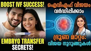 IVF Success Tips Malayalam/Embryo Transfer Success Tips|IVF വിജയിക്കാൻ ശ്രദ്ധിക്കേണ്ട കാര്യങ്ങൾ