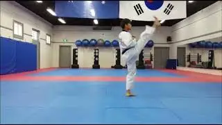 Taeguk1