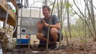 Is Collecting Rainwater Illegal?