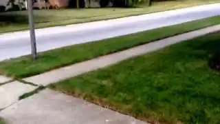 Longboardin