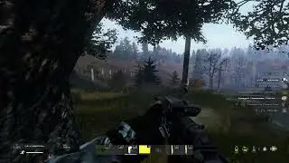 1.5 мувик типа пюре зон дефолт. #stalkerrpdayz  #dayz
