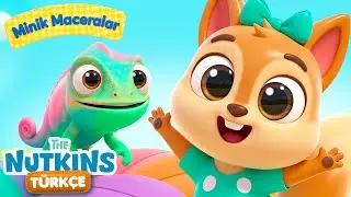 Eyvah, Renkler Karıştı! 🔵🌸 &Ccedil;imenler Mavi mi Olur? | Nutkins Mini Maceralar