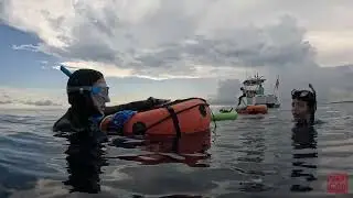 Functional Freediving Course With Panama Freedive and Blue Adventures Panama.