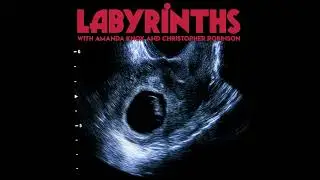 #25 - Infertility Part 1: No heartbeat