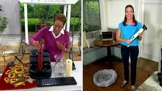Shark WandVac Cordless Handheld Vacuum & Charging Base on QVC