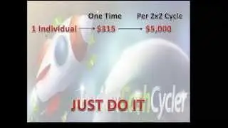 Rocket Cash Cycler Introduction