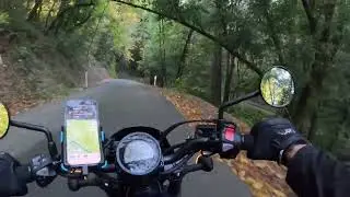 Alpine Road, descent to Sam McDonald County Park