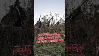 Hunting local farm fields in WI