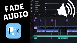 How to Fade Audio In & Out - Movavi Video Editor Plus 2020/2021