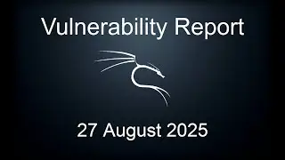 Vulnerability Report - 27 August 2025