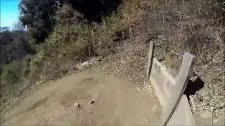 Toad Quick Trail