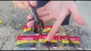 FISH ARROW FLASH-J CRAW 3.5