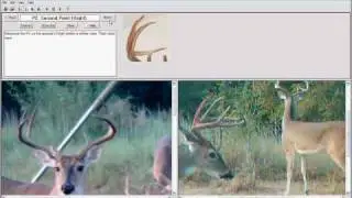 Trophy Score Software HuntSports Deer Scouting Cameras Cams Big Trophy Buck B&C Monstor