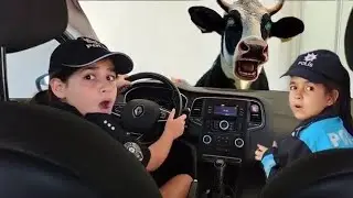 ORMANDA KAYBOLDUK DELİ İNEK AHIRDAN KA&Ccedil;MIŞ PEŞİMİZDE ‼️