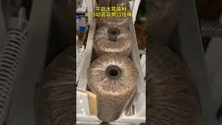 numerical control electric mushroom substrate bagging machine#mushroomgrowing  #mushroommachine