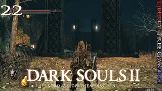 DS2 | Pt 22 | Huntsman's Copse | Dark Souls 2: Scholar of the First Sin | Blind Let's Play
