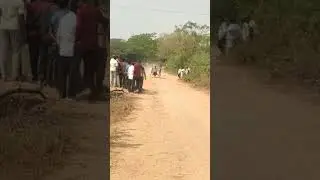 edla potilu