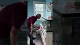 She Asked Dad To Look After Her Hermit Crabs 🦀 | The Dodo