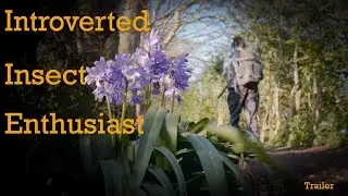 Introverted Insect Enthusiast Trailer