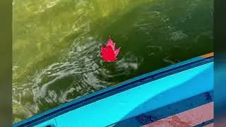October 5th Fall Paddle 