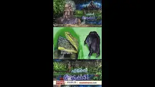 'എമ്ത്ത് അട്ടപ്പാടി'; ദാ ഈ ചിത്രങ്ങളിലൂടെ അട്ടപ്പാടിയുടെ ജീവിതവും സംസ്കാരവും ഇനി അടുത്തറിയാം