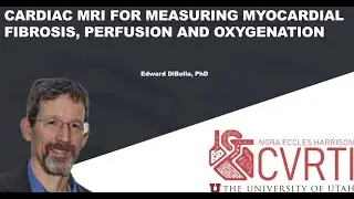Cardiac MRI for Measuring Myocardial Fibrosis, Perfusionand Oxygenation