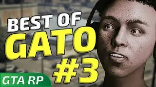 GATO REVIENT DES ANTILLES AVEC LYSOPAINE - BEST OF #3