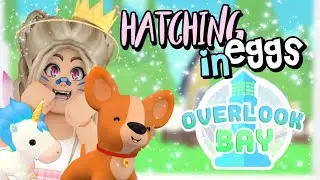 Opening 15+ EGGS *LEGENDARY* in Overlook Bay (Beta) || ROBLOX || PixieYaz