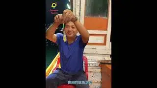 The Da Nang night squid fishing tour | Compass Tourist